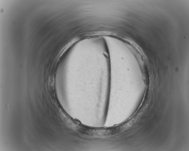 X0000085071193200704021403