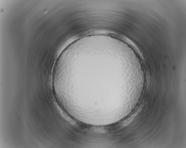 X0000085071194200704021403