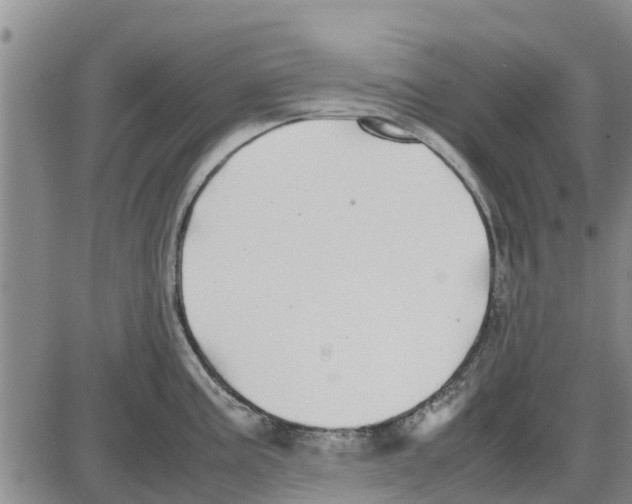 X0000085071195200704021403