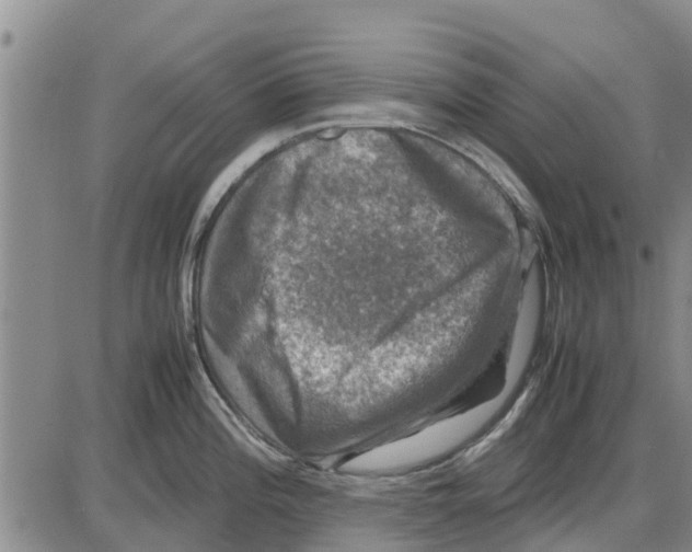 X0000085071196200704021403