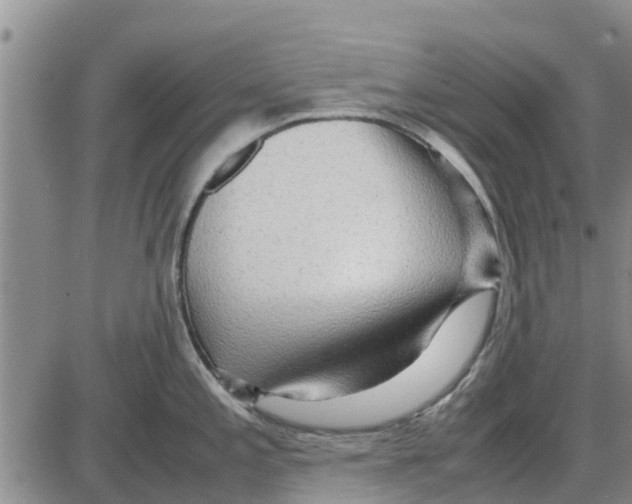 X0000085071197200704021403