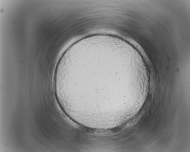 X0000085071199200704021403