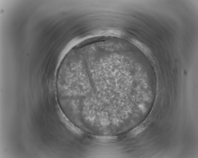 X0000085071200200704021403