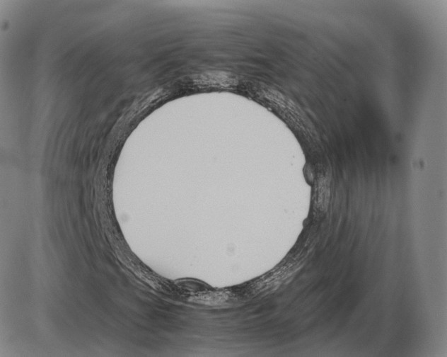 X0000085071201200704021402