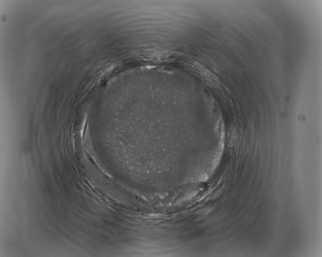 X0000085071202200704021402