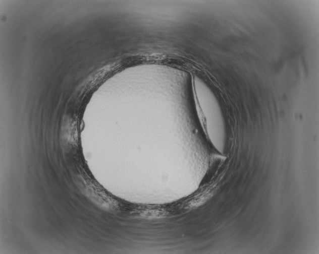 X0000085071204200704021402