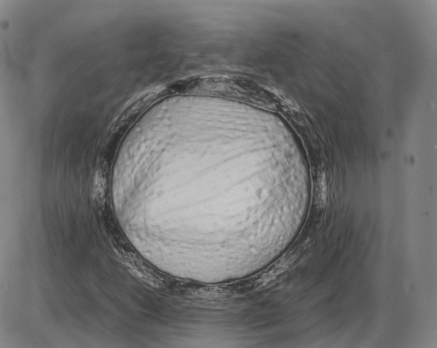 X0000085071206200704021402