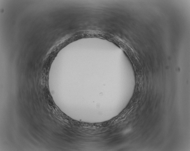 X0000085071207200704021402