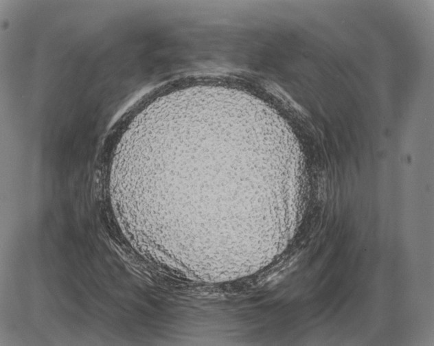 X0000085071208200704021402