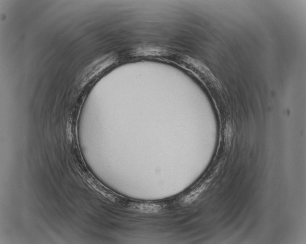 X0000085071209200704021402