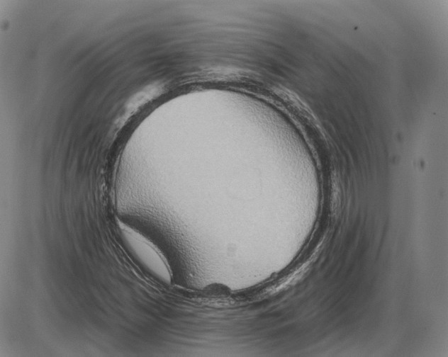 X0000085071210200704021402