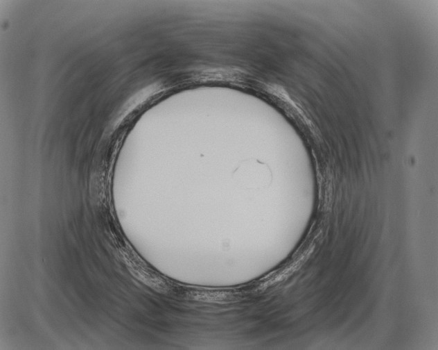 X0000085071211200704021402