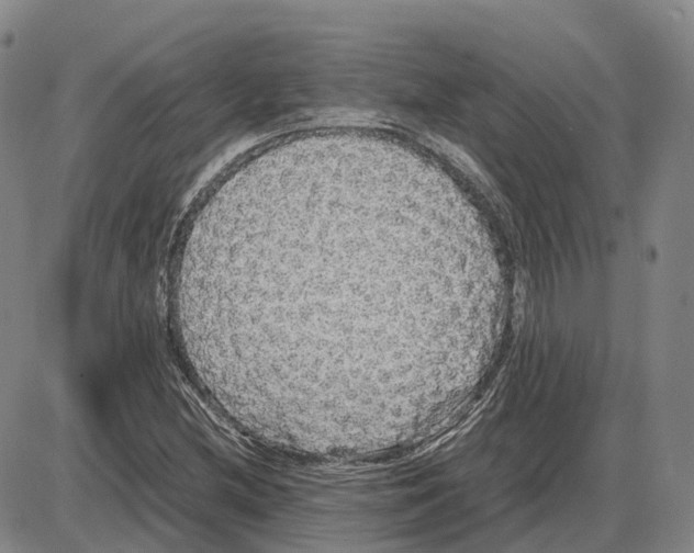 X0000085071212200704021402