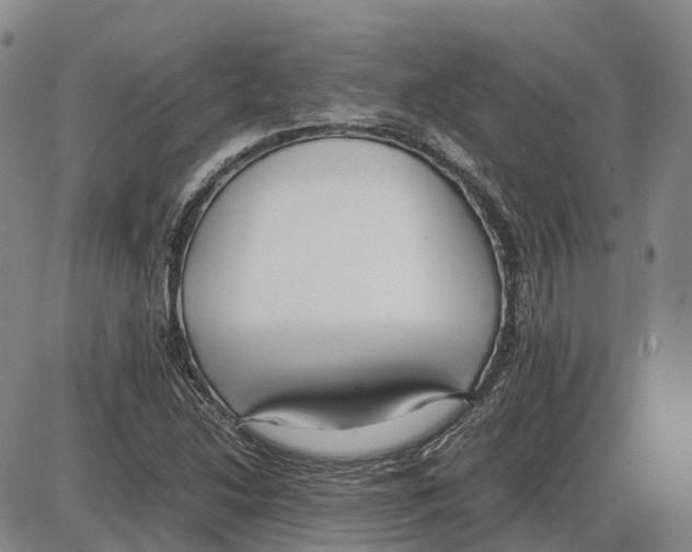 X0000085071214200704021402