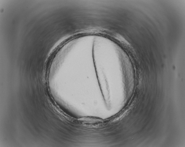 X0000085071216200704021402