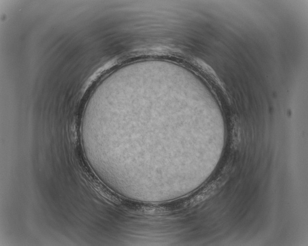 X0000085071218200704021402