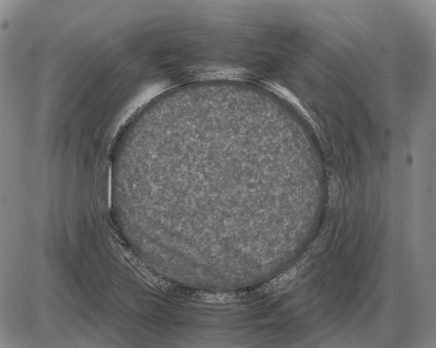 X0000085071219200704021402