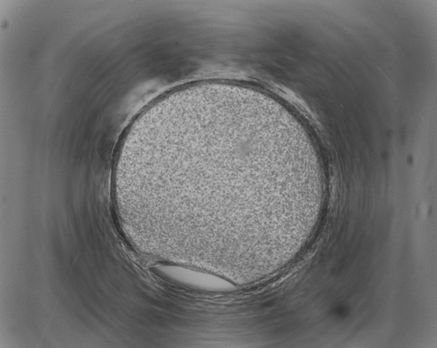 X0000085071220200704021402