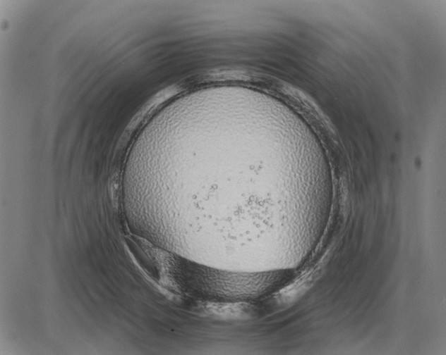 X0000085071225200704021402