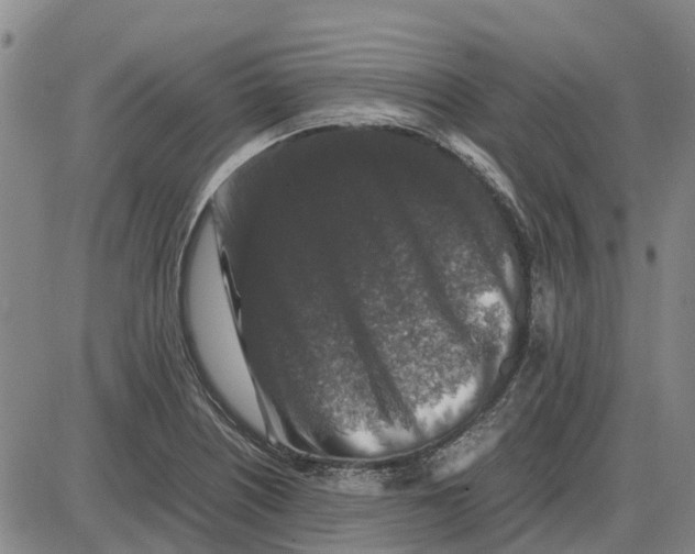 X0000085071226200704021402