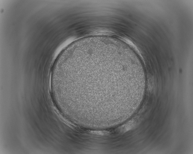 X0000085071227200704021402