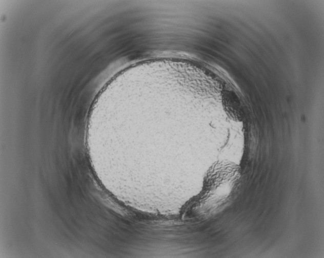 X0000085071228200704021402