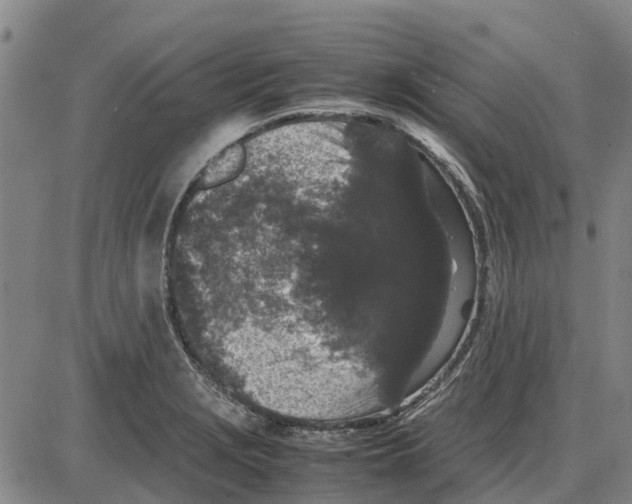 X0000085071229200704021402