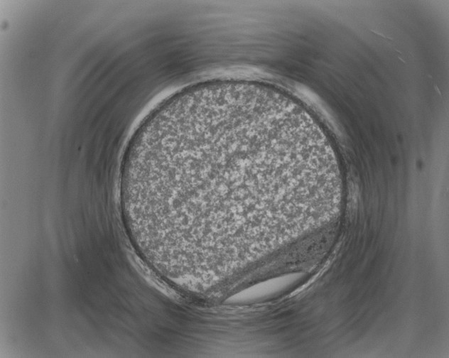 X0000085071232200704021402