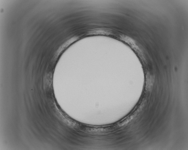 X0000085071233200704021402