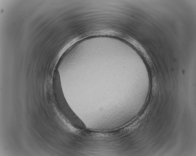 X0000085071234200704021402