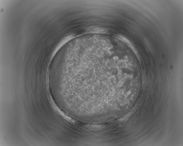 X0000085071235200704021402