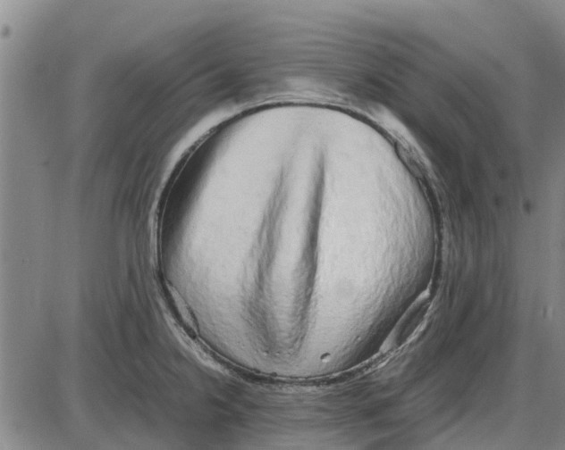 X0000085071238200704021402