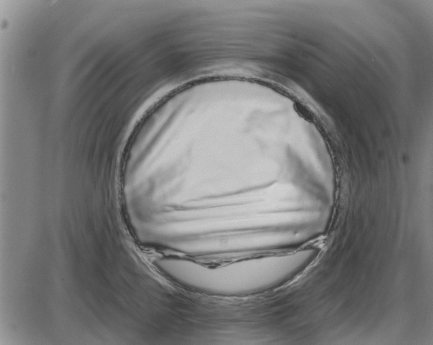 X0000085071240200704021402