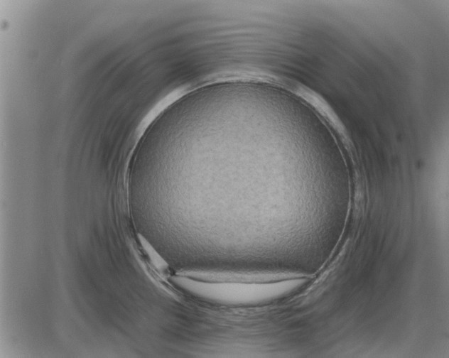 X0000085071242200704021402