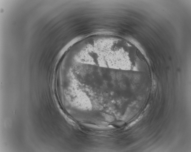 X0000085071245200704021403