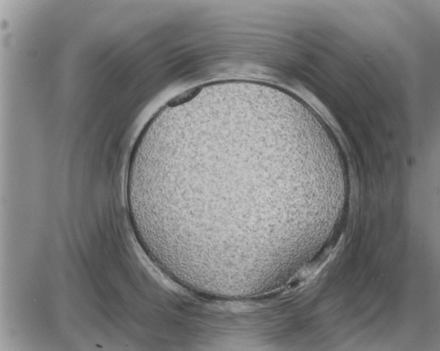 X0000085071246200704021403