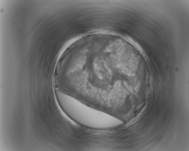 X0000085071247200704021403