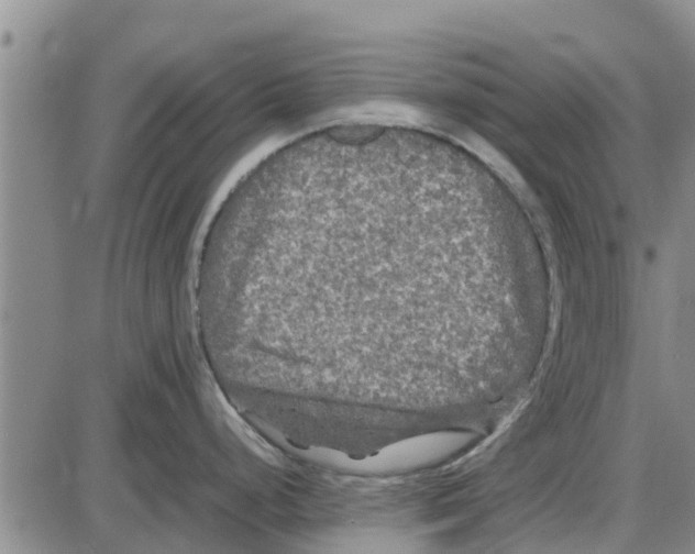 X0000085071248200704021403