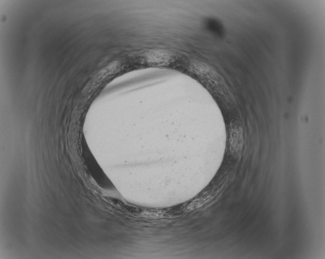 X0000085071249200704021402