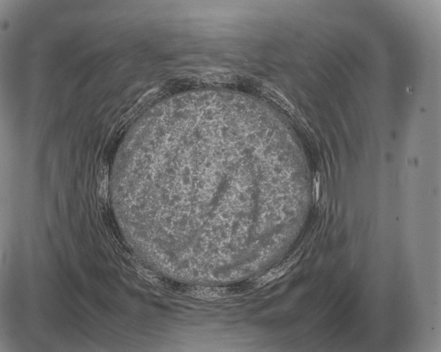 X0000085071251200704021402