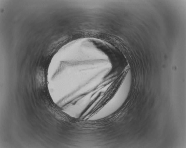 X0000085071252200704021402