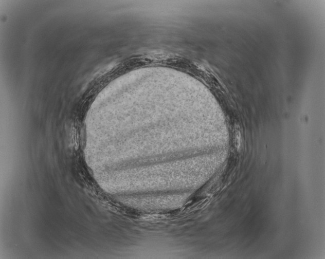 X0000085071253200704021402