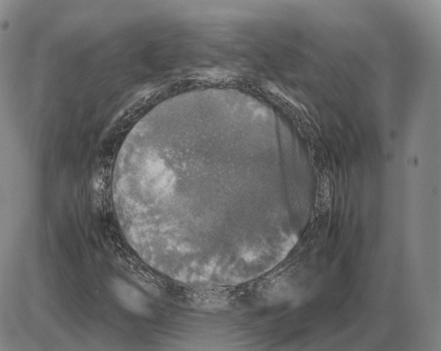 X0000085071254200704021402