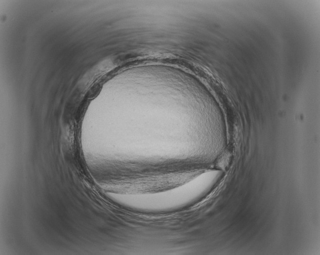 X0000085071257200704021402