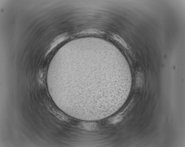 X0000085071258200704021402