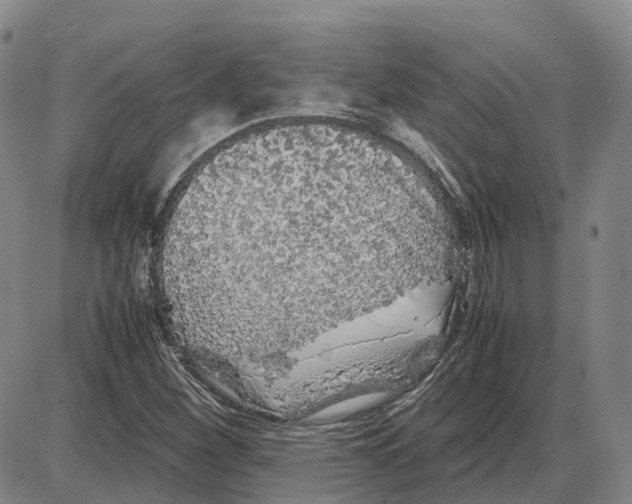 X0000085071260200704021402