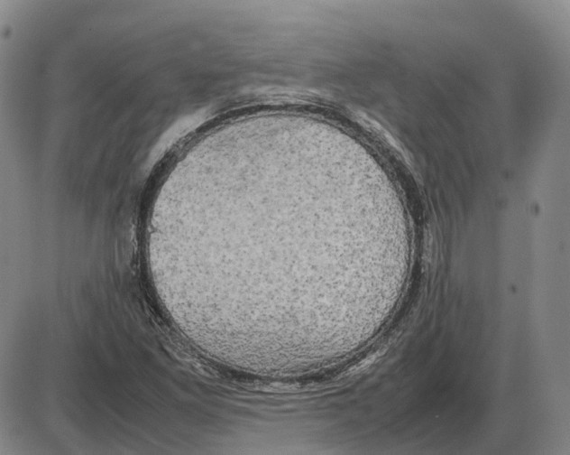 X0000085071261200704021402