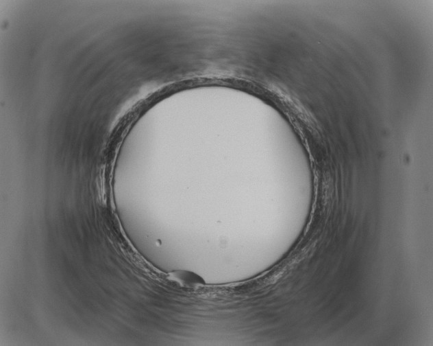 X0000085071262200704021401