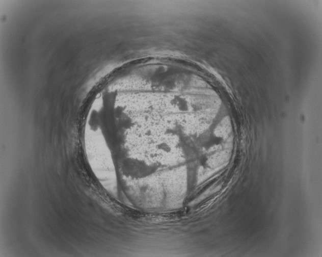 X0000085071263200704021401