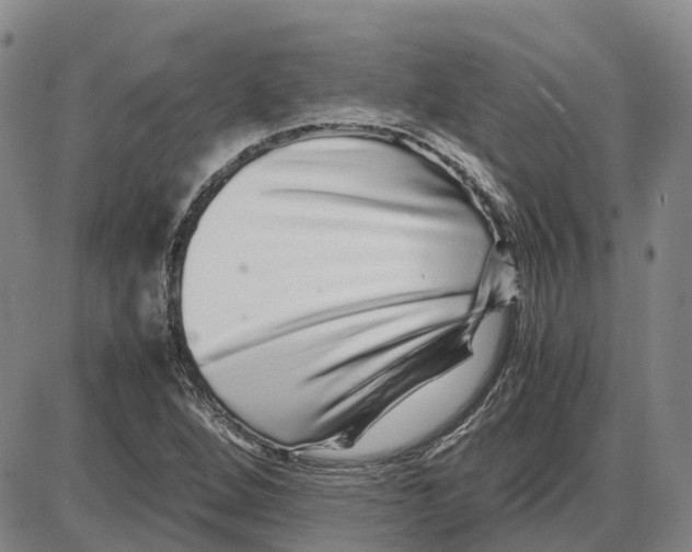 X0000085071264200704021401